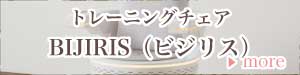 ビジリス